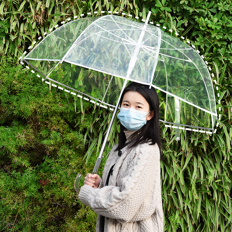 clear dome bubble umbrella