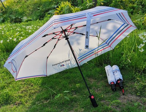 Compact Small Best Fully Automatic Open and Close BMW Folding Umbrella