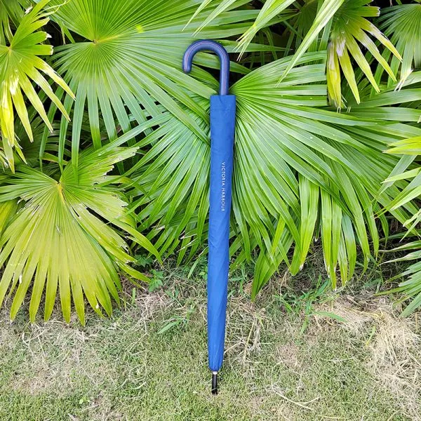 Custom branded promotional stick umbrella case study, royal blue crook handle gift umbrella displayed against natural foliage by a China manufacturer for wholesale.